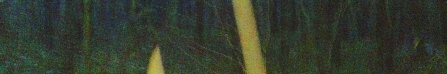 User banner