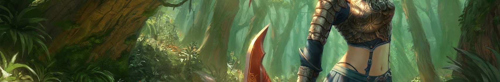 Banner użytkownika