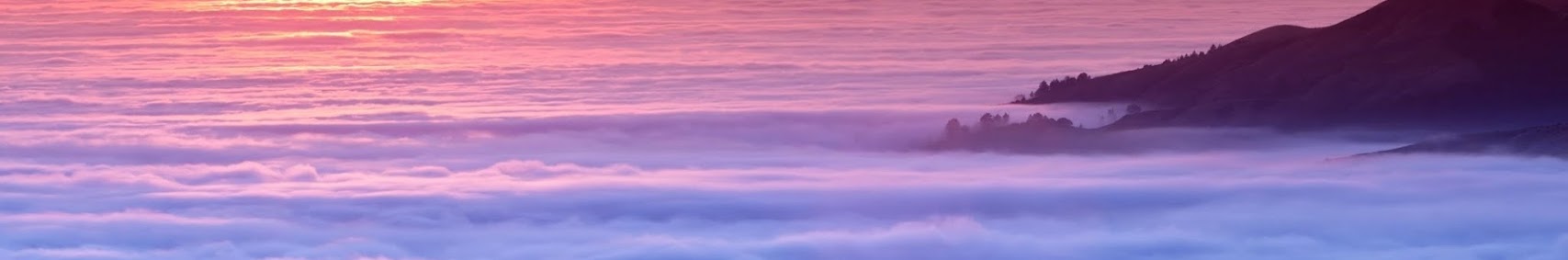 Banner użytkownika