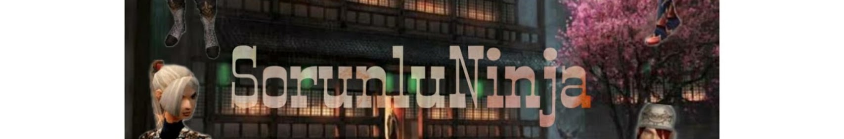 Banner użytkownika