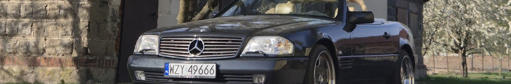Banner użytkownika