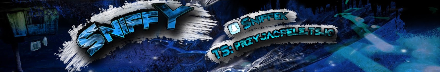 Banner użytkownika