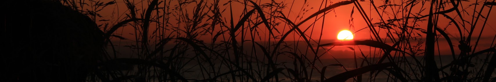 Banner użytkownika