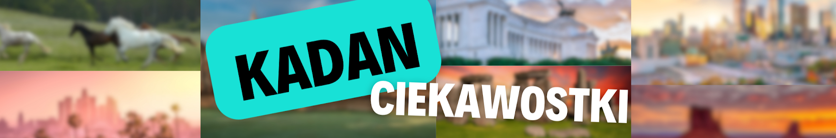 Banner użytkownika