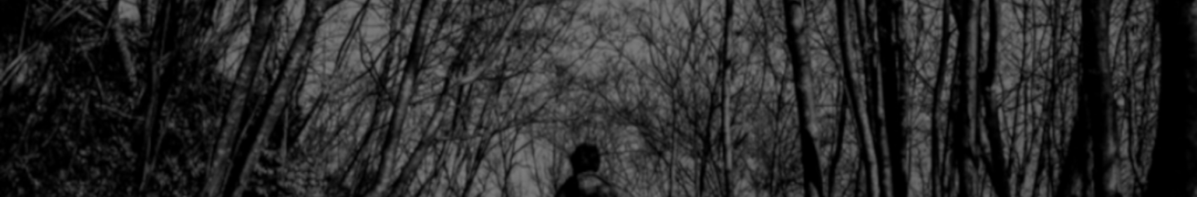 Banner użytkownika