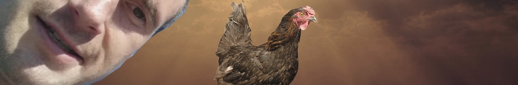 Banner użytkownika