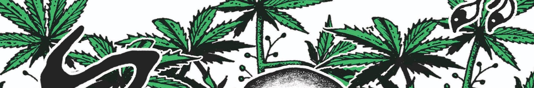 Banner użytkownika