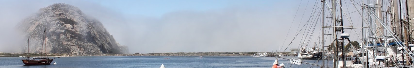 Banner użytkownika