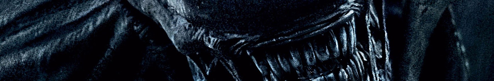 Banner użytkownika