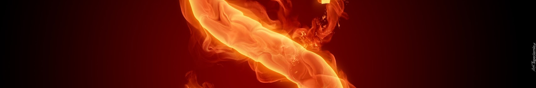 Banner użytkownika