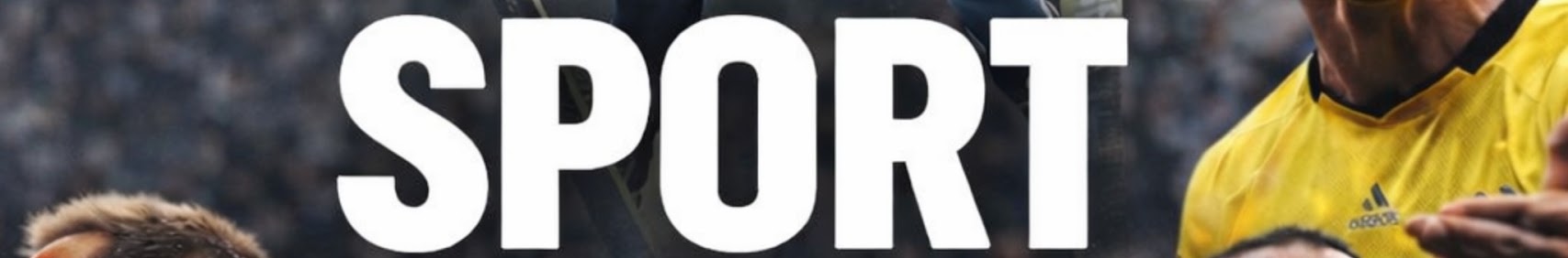 Banner użytkownika