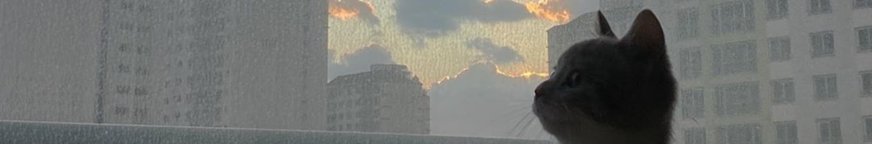 Banner użytkownika