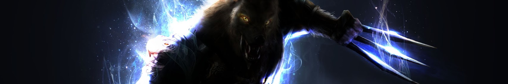 Banner użytkownika