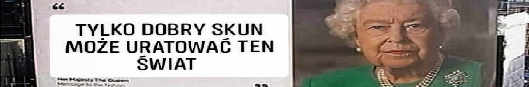 Banner użytkownika