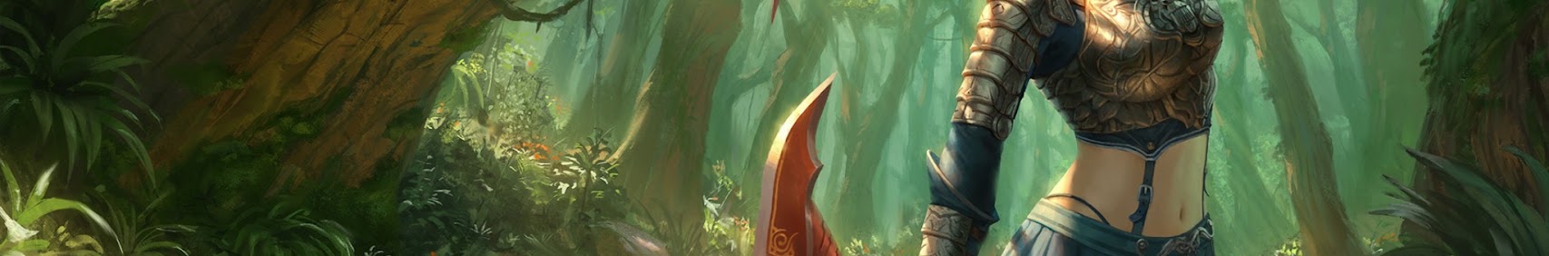 Banner użytkownika
