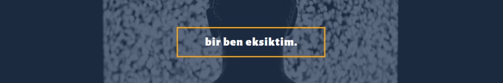 Banner użytkownika