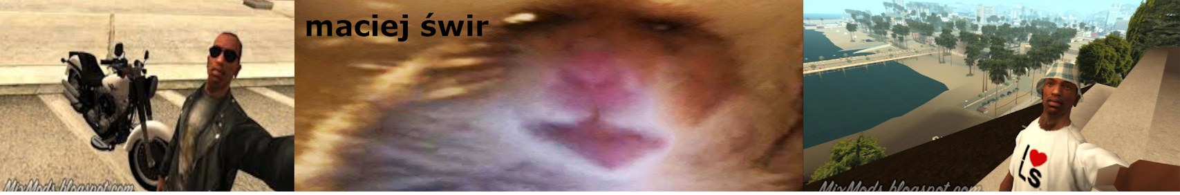 Banner użytkownika