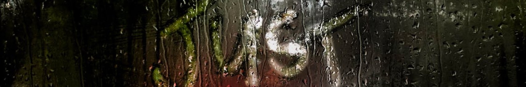 Banner użytkownika