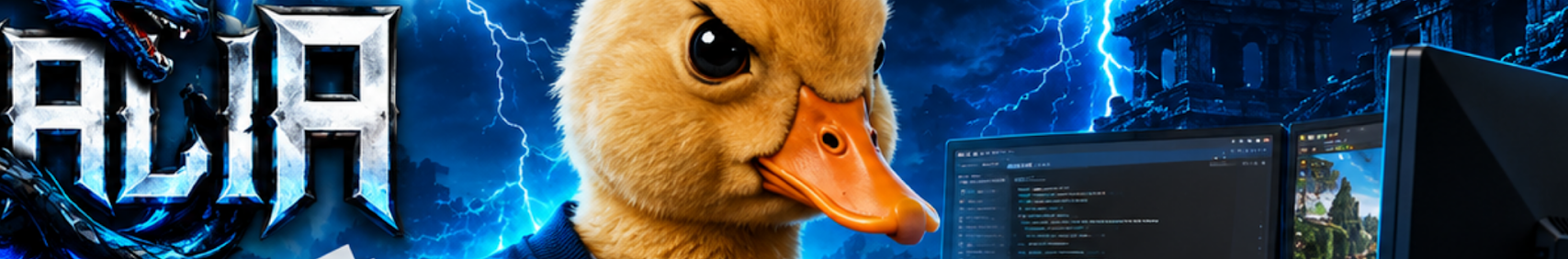 Banner użytkownika