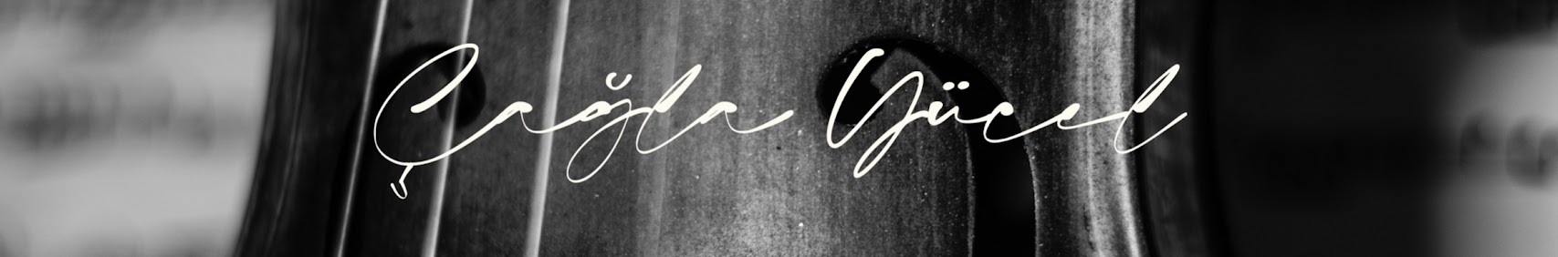 Banner użytkownika