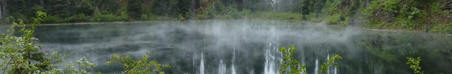 Banner użytkownika