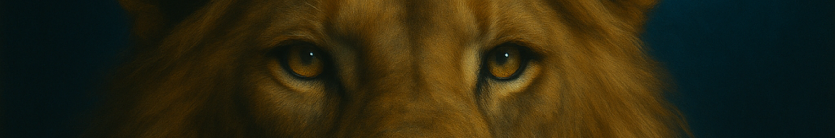Banner użytkownika