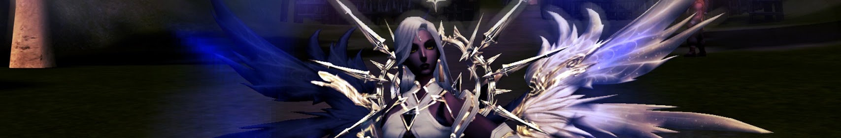 Banner użytkownika