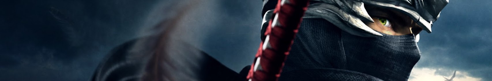Banner użytkownika