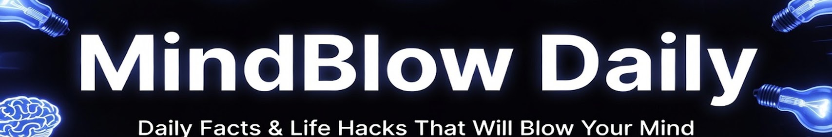 Banner użytkownika