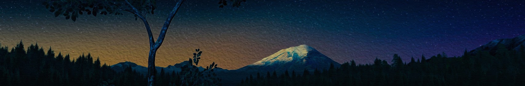 Banner użytkownika