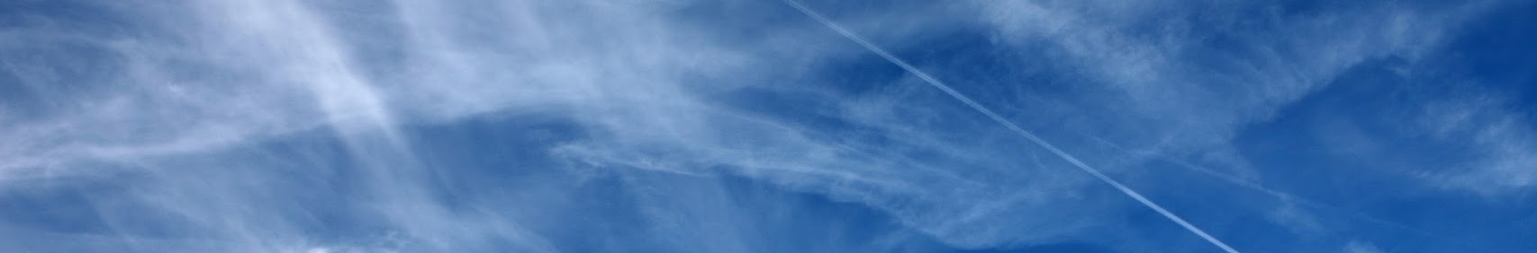 Banner użytkownika