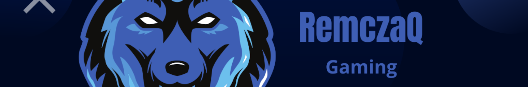 Banner użytkownika