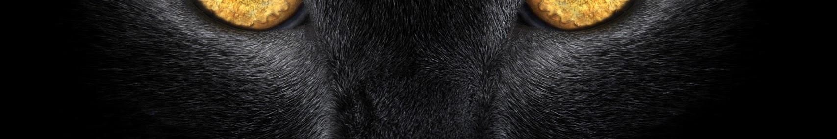 Banner użytkownika