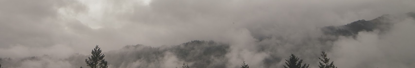 Banner użytkownika