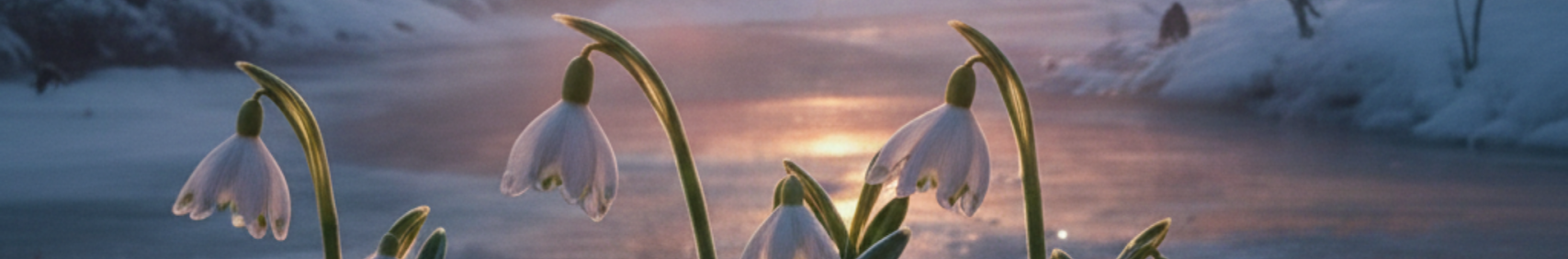 Banner użytkownika