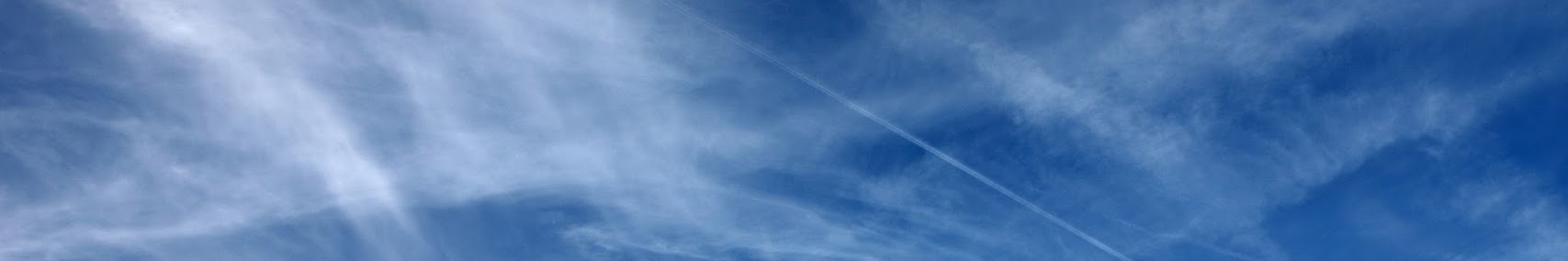 Banner użytkownika