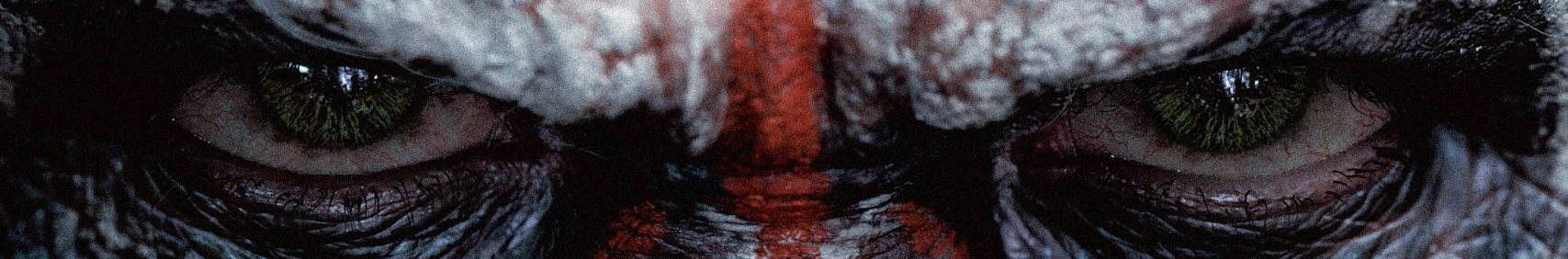 Banner użytkownika