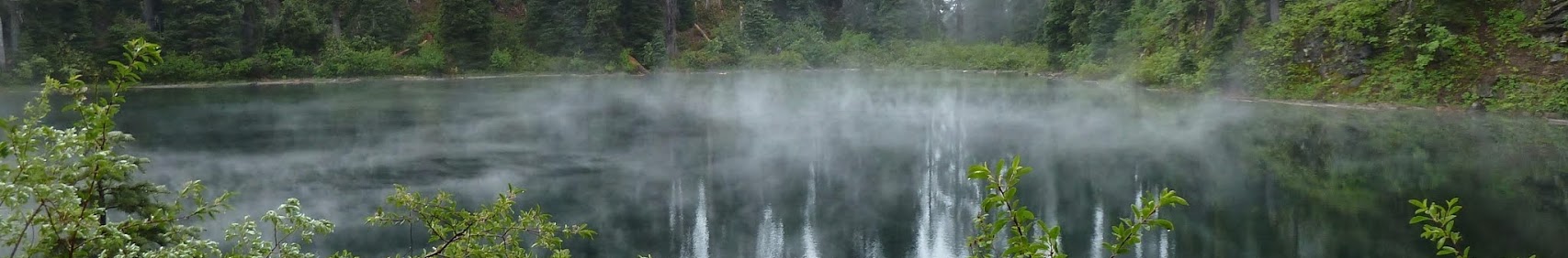 Banner użytkownika