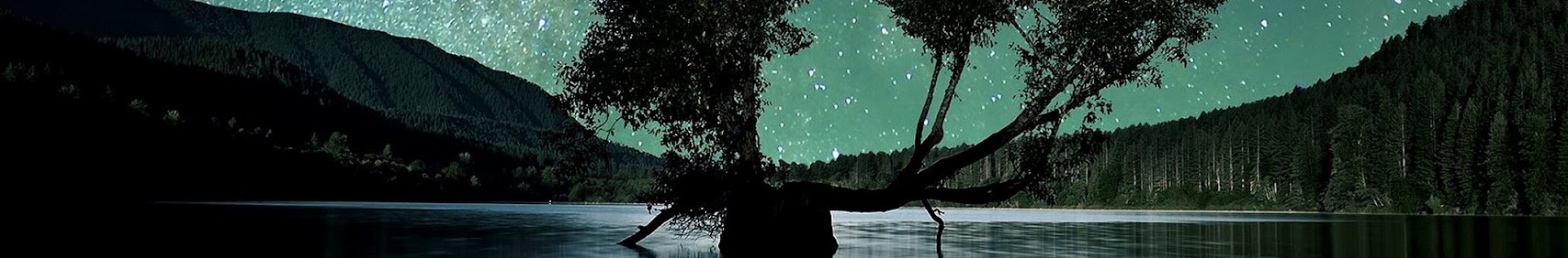 Banner użytkownika