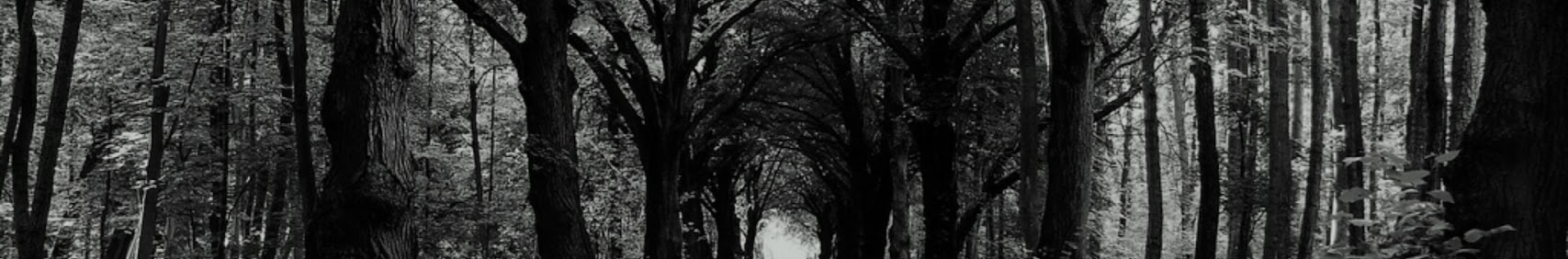 Banner użytkownika