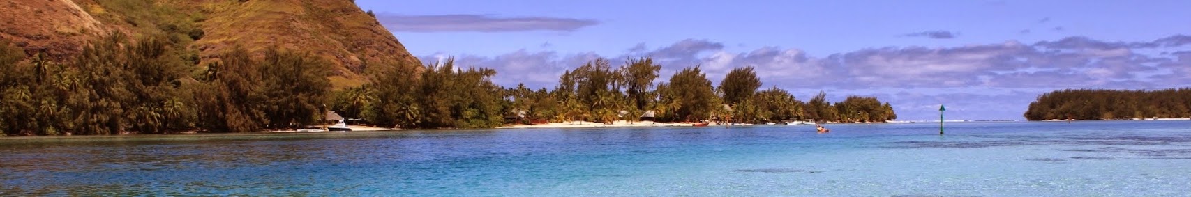 Banner użytkownika