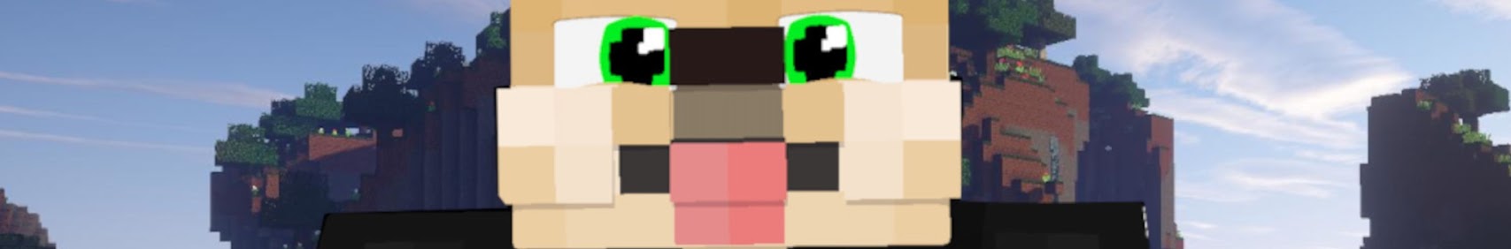 Banner użytkownika
