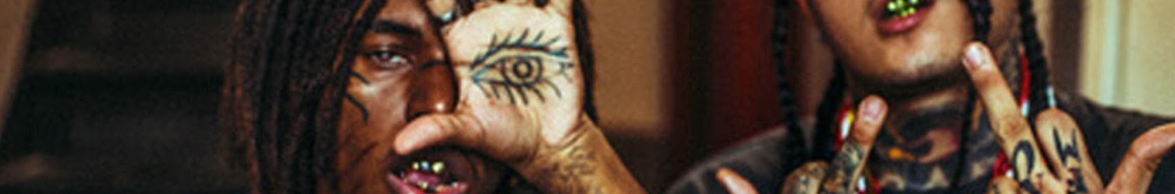 Banner użytkownika
