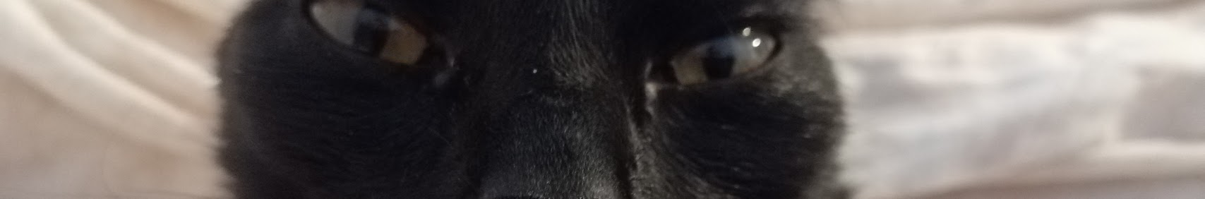 Banner użytkownika