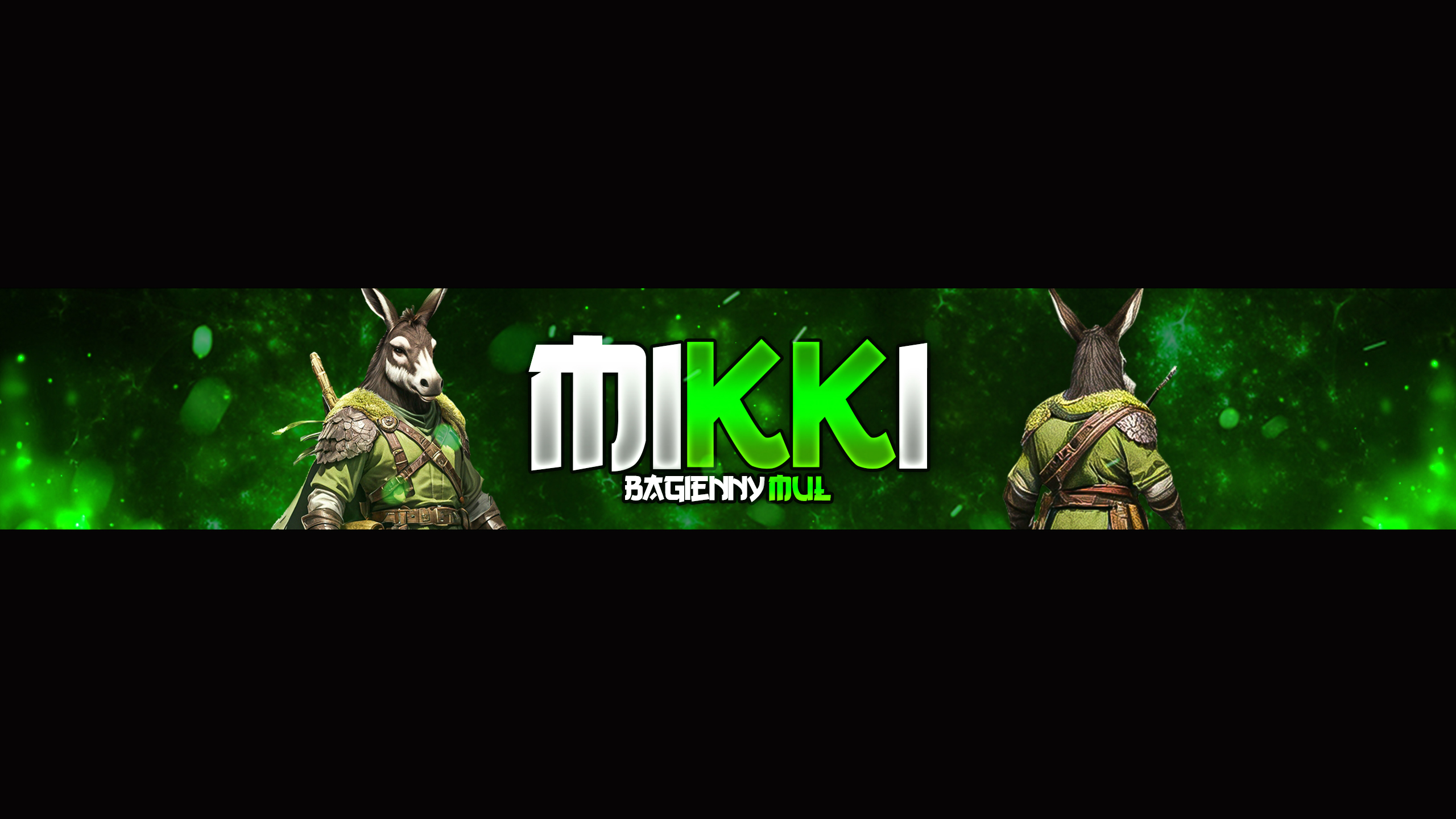 Banner użytkownika