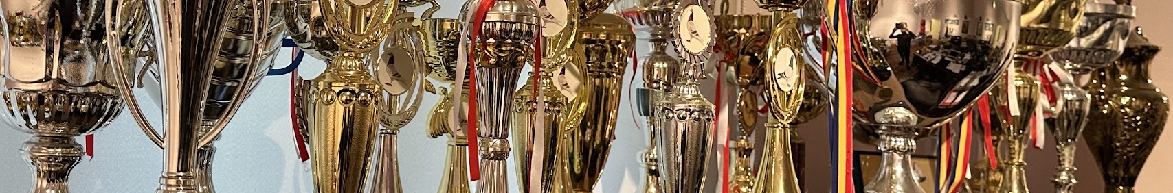 Banner użytkownika