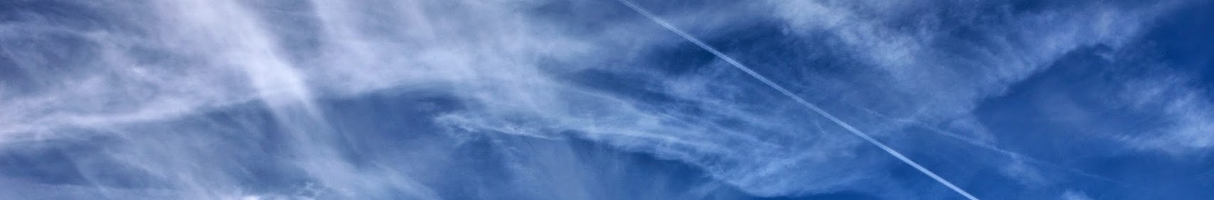 Banner użytkownika