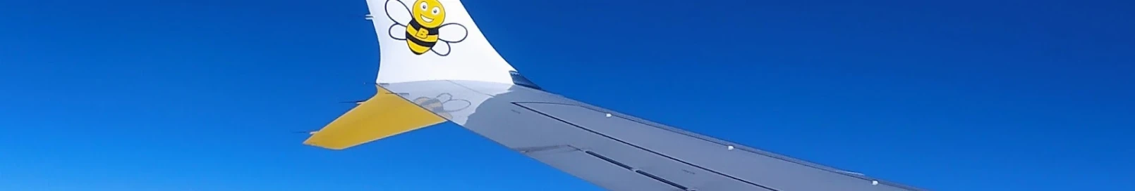 Banner użytkownika