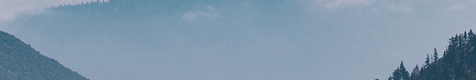 Banner użytkownika