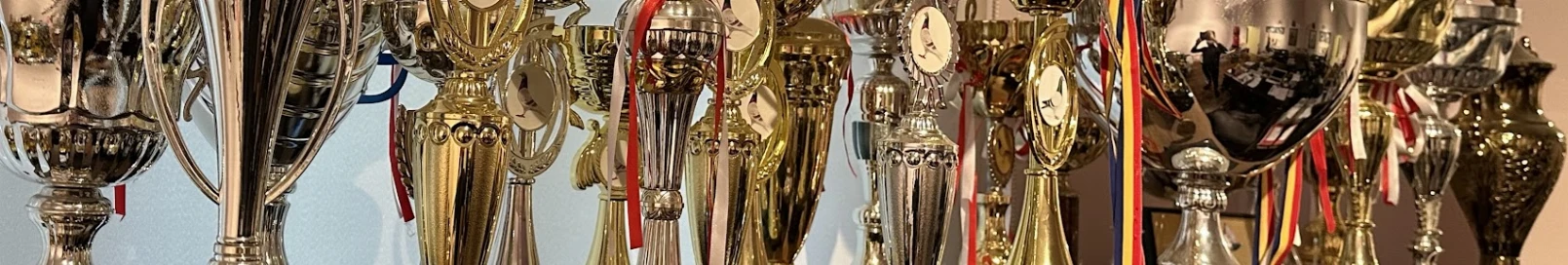 Banner użytkownika